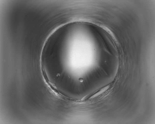 X0000070211199200606091616