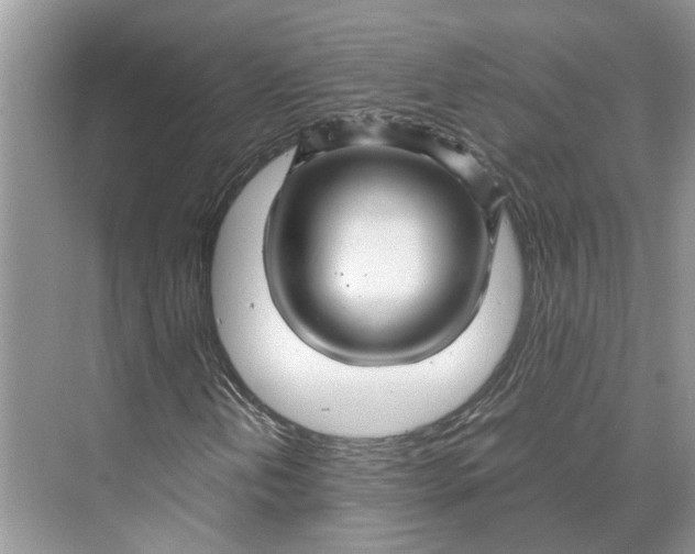 X0000070211202200606091615