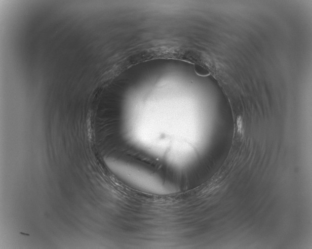 X0000070211203200606091615