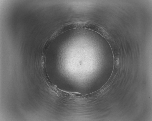 X0000070211204200606091615