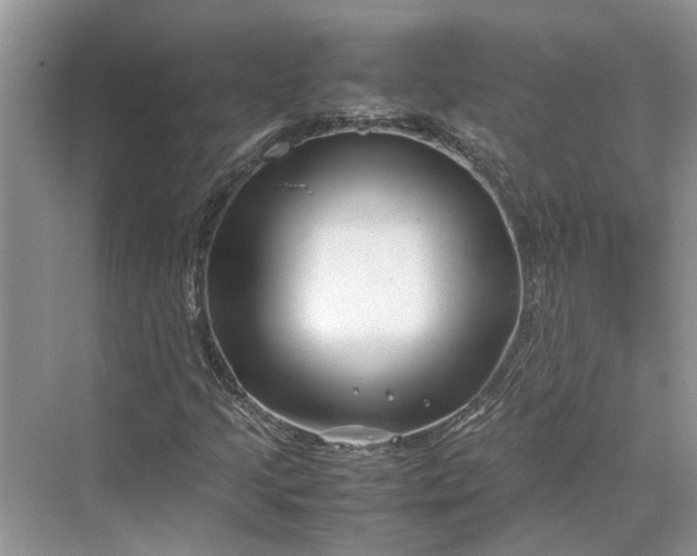 X0000070211205200606091615