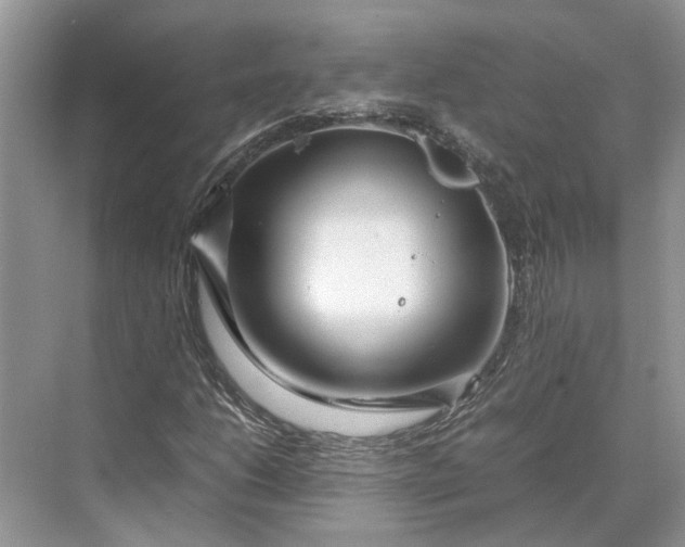 X0000070211206200606091615