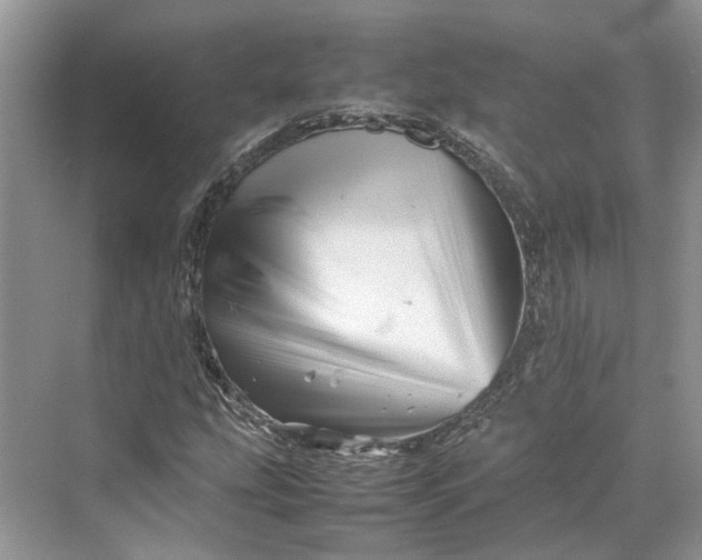 X0000070211207200606091615