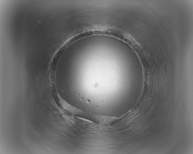 X0000070211208200606091615