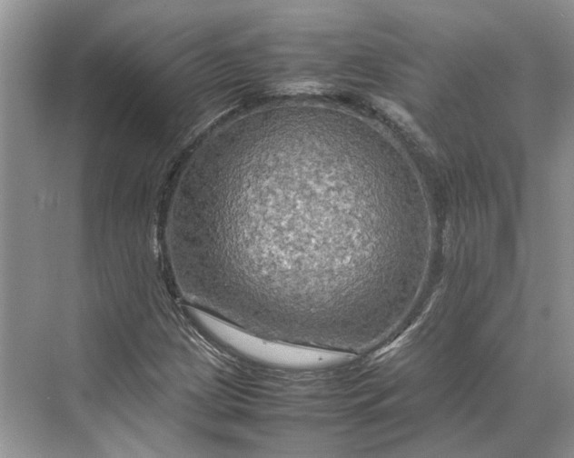 X0000070211209200606091615