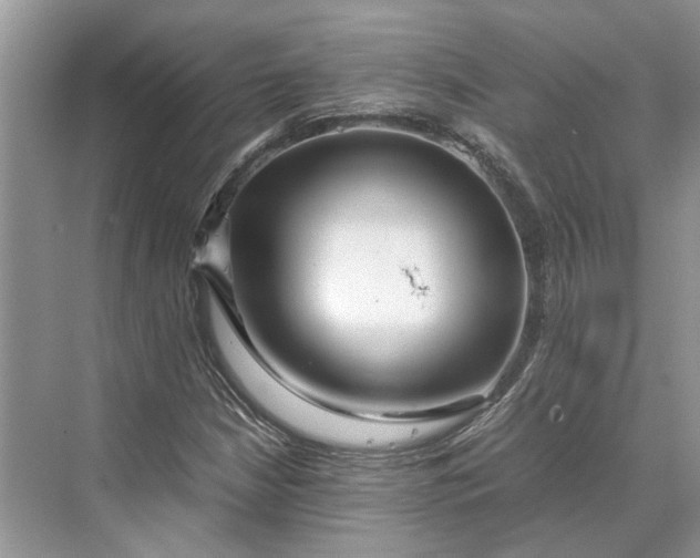 X0000070211210200606091615