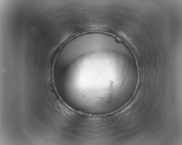 X0000070211211200606091615