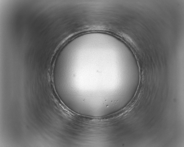 X0000070211212200606091615