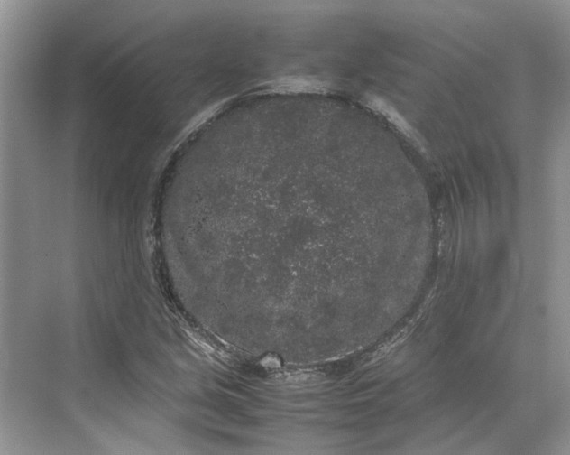 X0000070211213200606091615