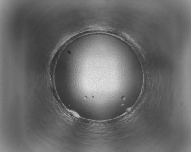 X0000070211215200606091616