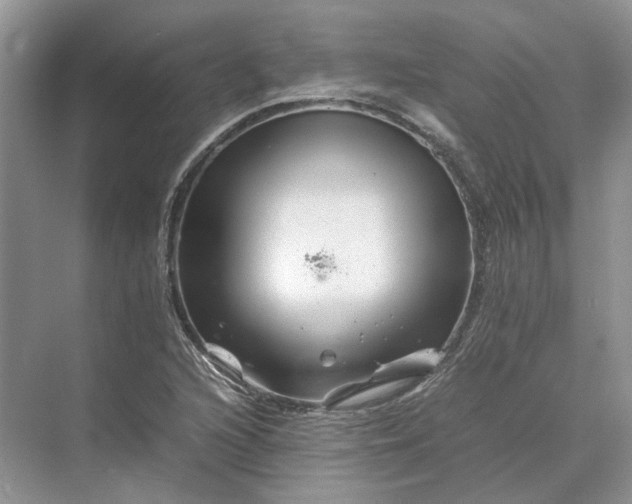 X0000070211216200606091616