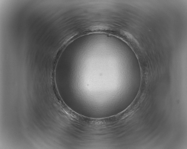 X0000070211217200606091616