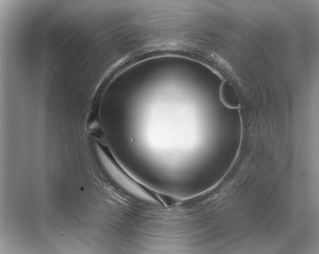 X0000070211218200606091616