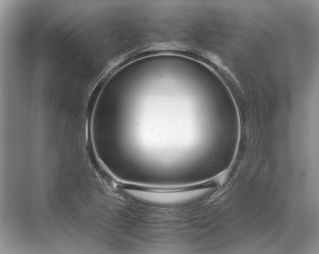 X0000070211221200606091616