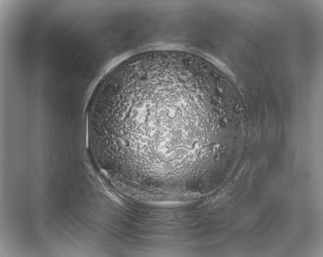 X0000070211223200606091616