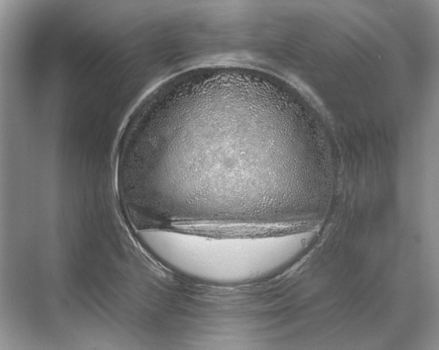 X0000070211224200606091616