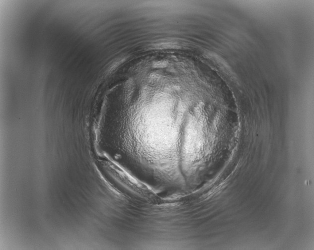 X0000070211225200606091616