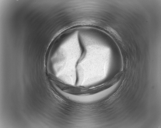 X0000070211226200606091616