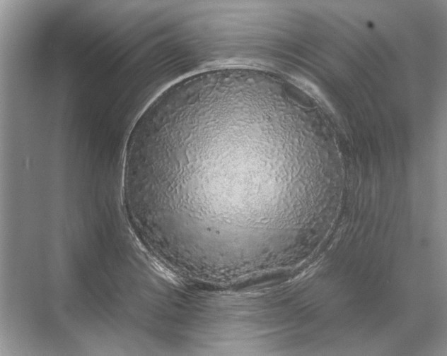 X0000070211228200606091616