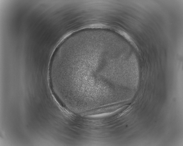 X0000070211229200606091616