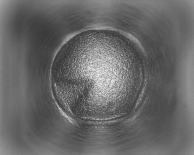 X0000070211231200606091616