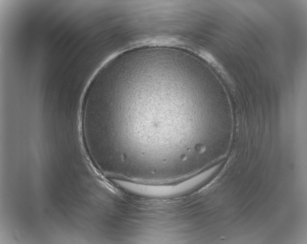 X0000070211232200606091616