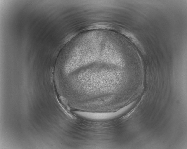 X0000070211233200606091616