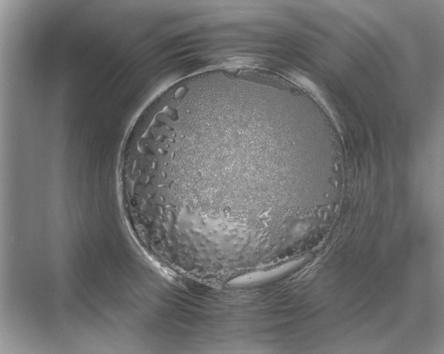 X0000070211235200606091616