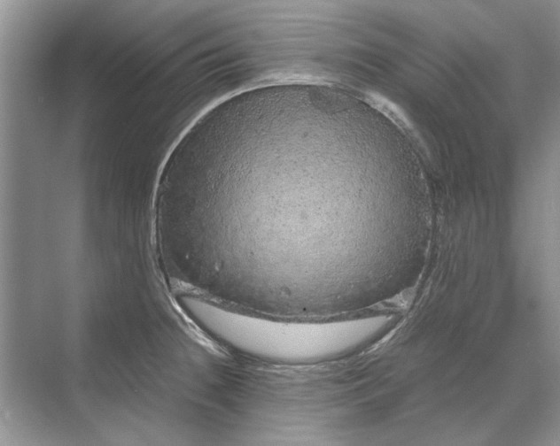 X0000070211236200606091616