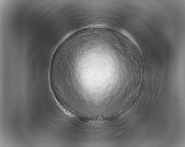 X0000070211237200606091616