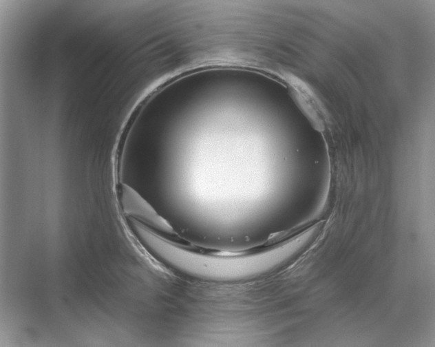 X0000070211238200606091616