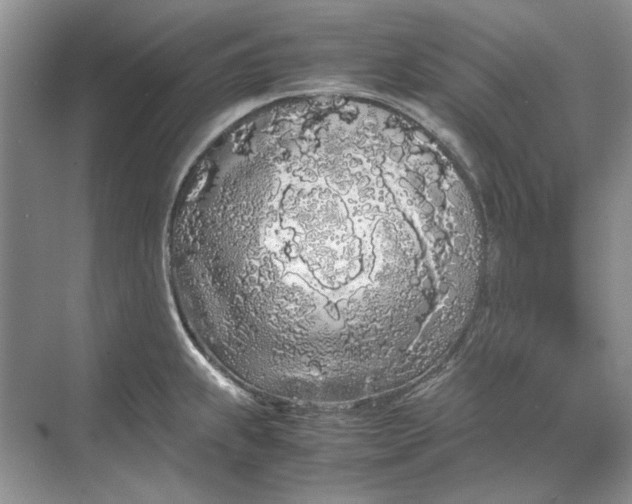 X0000070211239200606091616