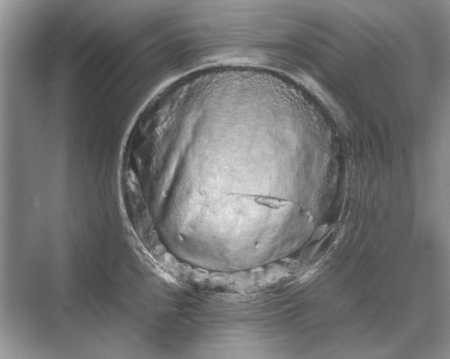 X0000070211240200606091616