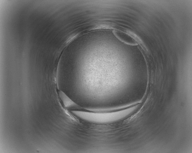 X0000070211241200606091616