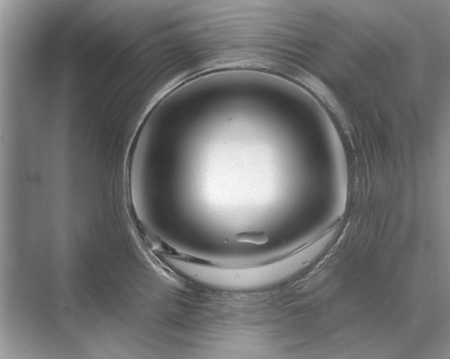 X0000070211242200606091616