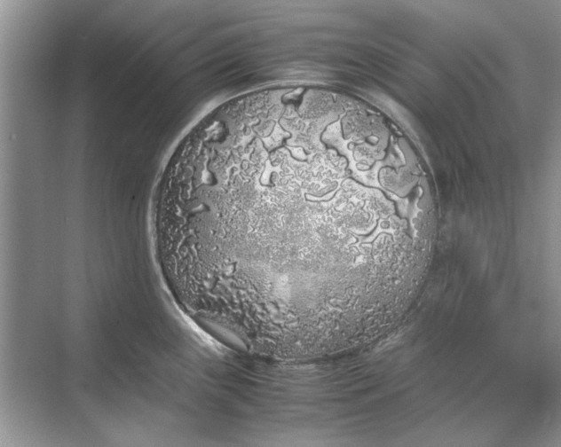 X0000070211243200606091616