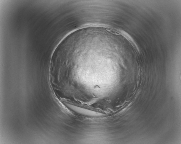 X0000070211244200606091616