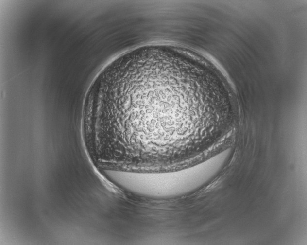 X0000070211245200606091616