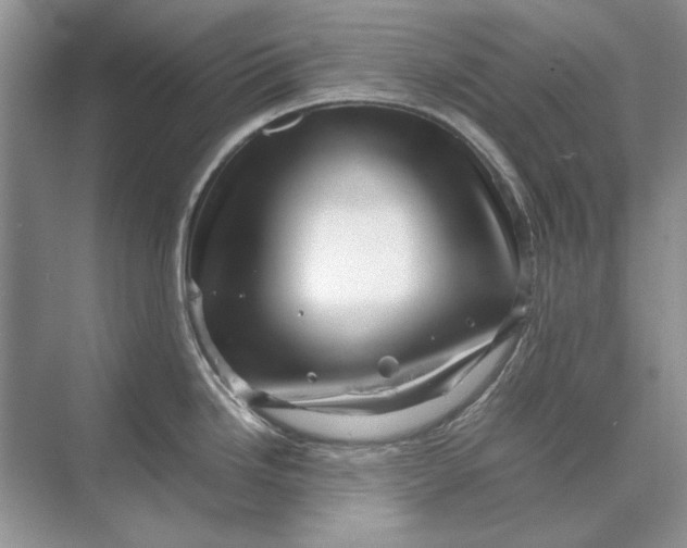 X0000070211246200606091616