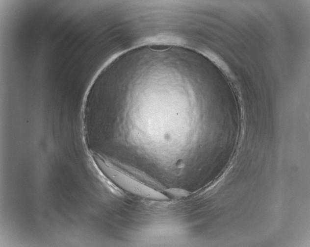 X0000070211248200606091616