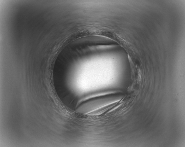 X0000070211249200606091615