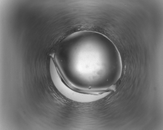 X0000070211250200606091615