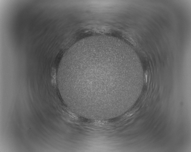 X0000070211251200606091615