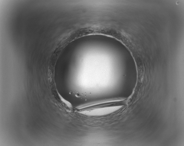 X0000070211253200606091615