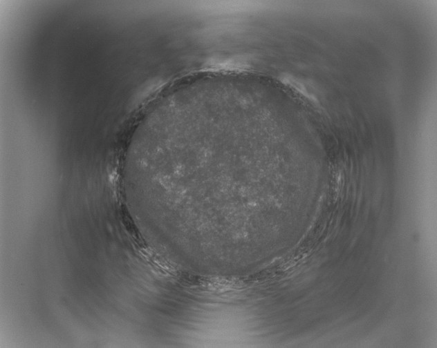 X0000070211254200606091615