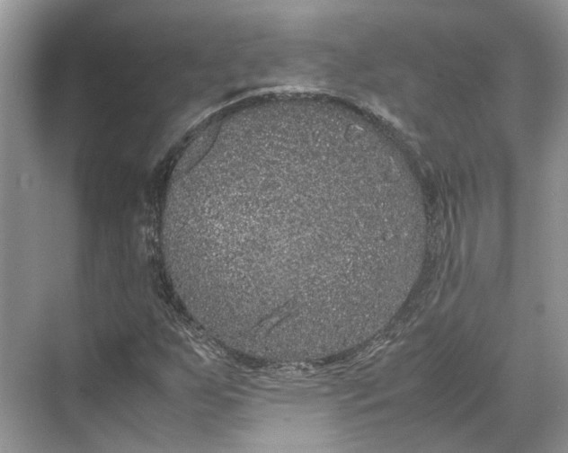 X0000070211255200606091615