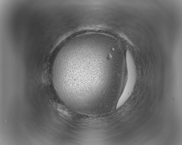 X0000070211256200606091615