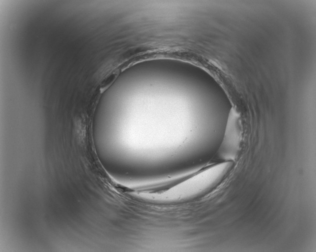 X0000070211257200606091615