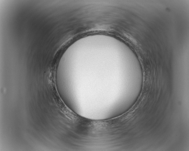 X0000070211258200606091615