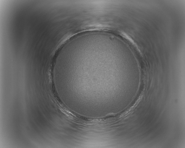 X0000070211259200606091615